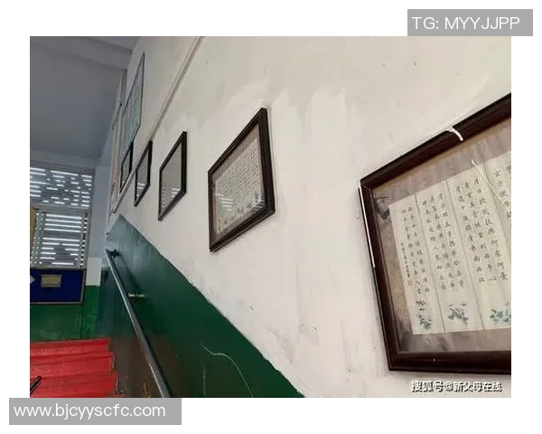 对话杨秀英：回顾辉煌排球生涯与心路历程的深度交流