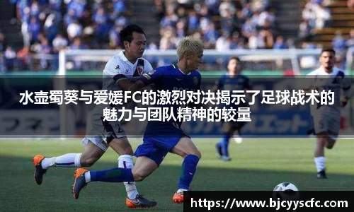 水壶蜀葵与爱媛FC的激烈对决揭示了足球战术的魅力与团队精神的较量